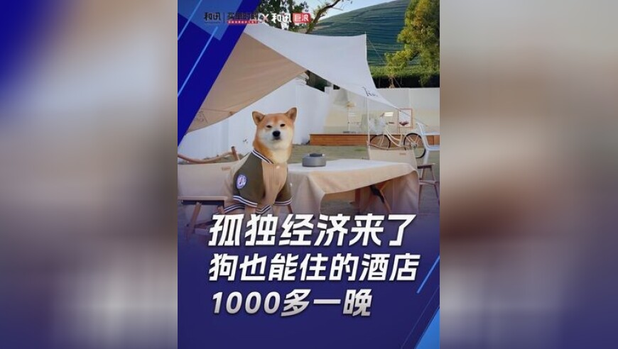 2025年澳门历史最快开奖记录,稀土磁材市场需求水涨船高,收益成语分析落实_GM版V10.67